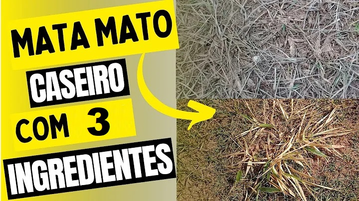 Problemas com ervas daninhas? - Rochas Brasil